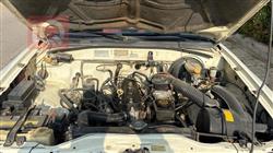 جريت وول دير